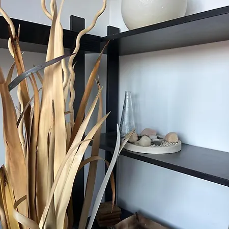 Rascacielos 圣克鲁斯-德特内里费